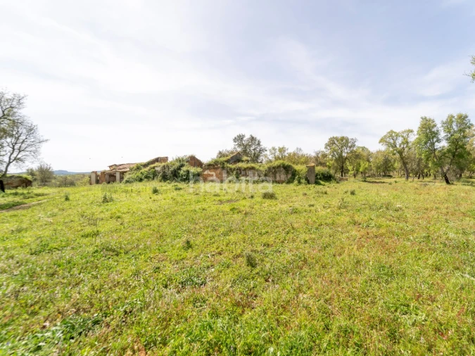 Quinta T2 para Venda em Cercal Foto 2