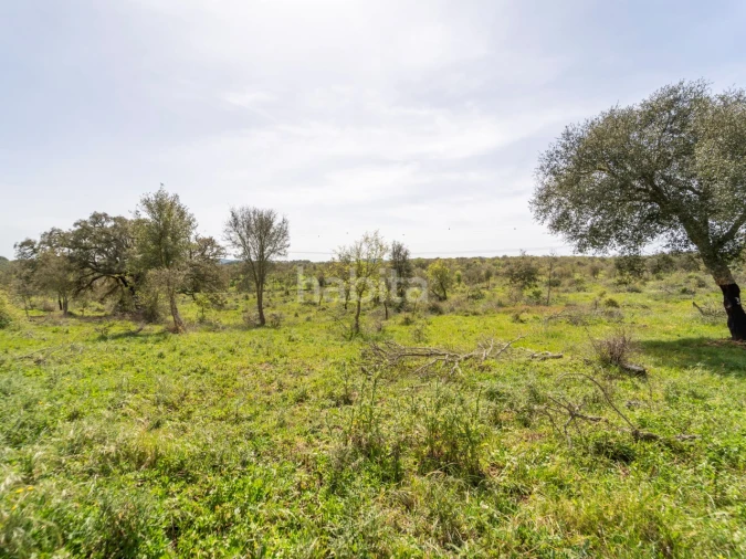 Quinta T2 para Venda em Cercal Foto 3