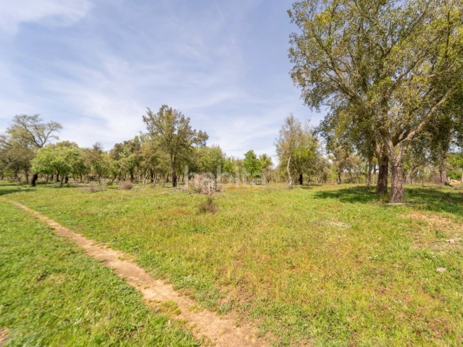 Quinta T2 para Venda em Cercal Foto 4