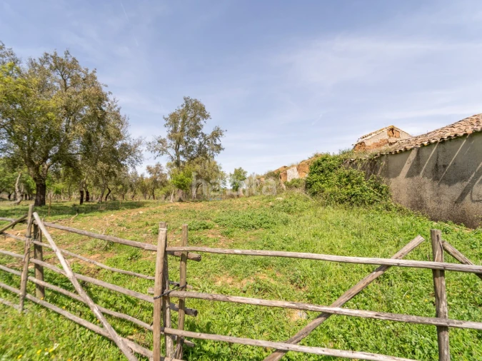 Quinta T2 para Venda em Cercal Foto 8