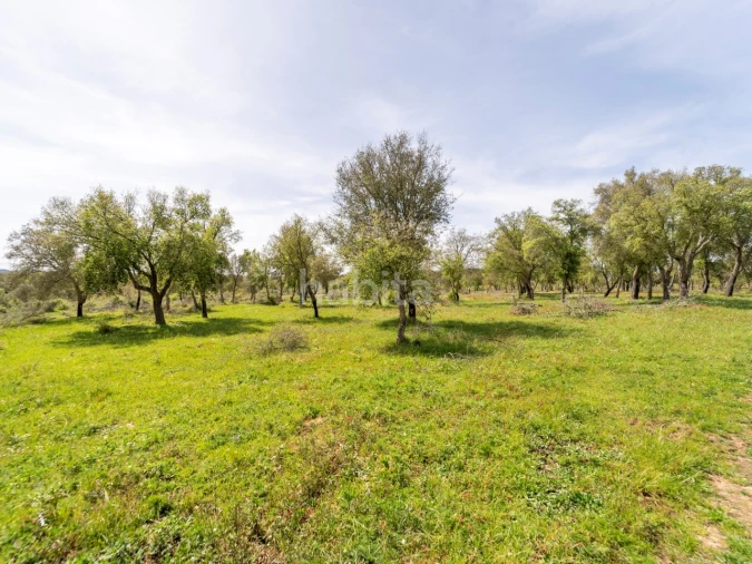 Quinta T2 para Venda em Cercal Foto 9