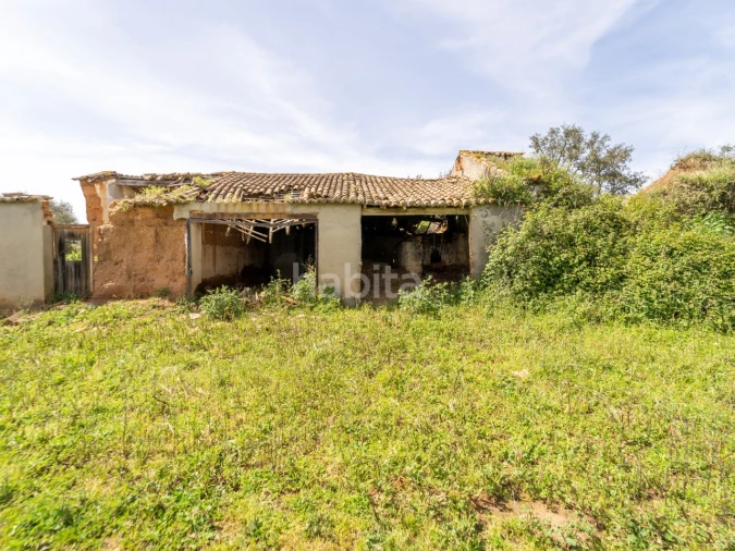 Quinta T2 para Venda em Cercal Foto 10