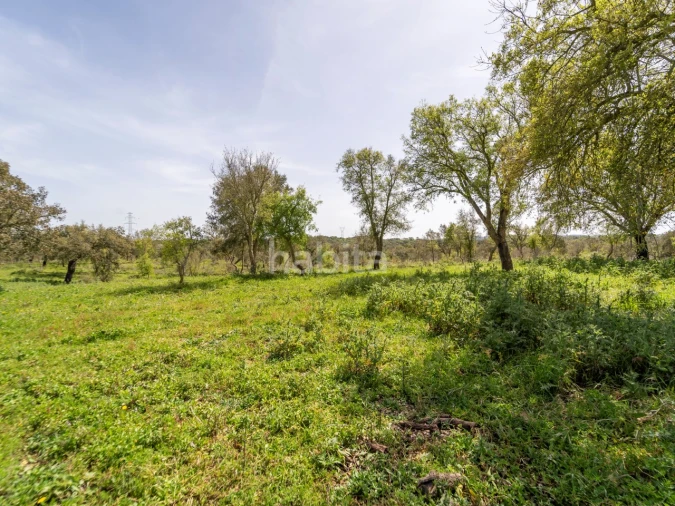 Quinta T2 para Venda em Cercal Foto 13