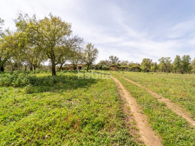 Quinta T2 para Venda em Cercal Foto 14