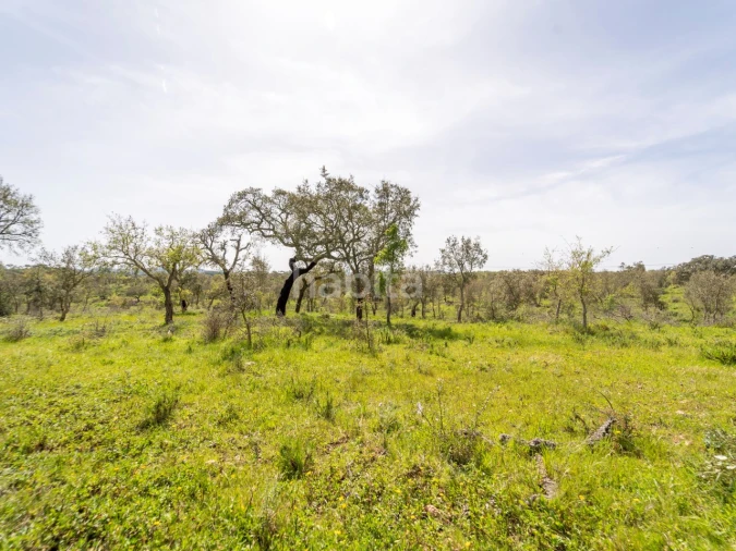 Quinta T2 para Venda em Cercal Foto 16