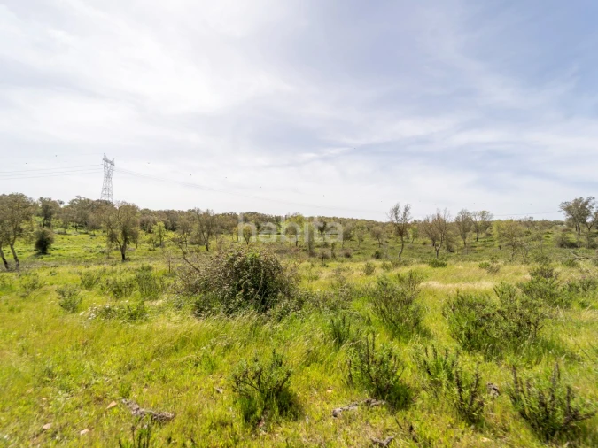 Quinta T2 para Venda em Cercal Foto 17