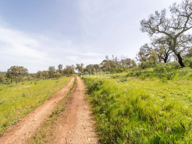 Quinta T2 para Venda em Cercal Foto 21