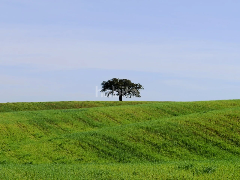 Moradia T4 para Venda em Cercal Foto 20