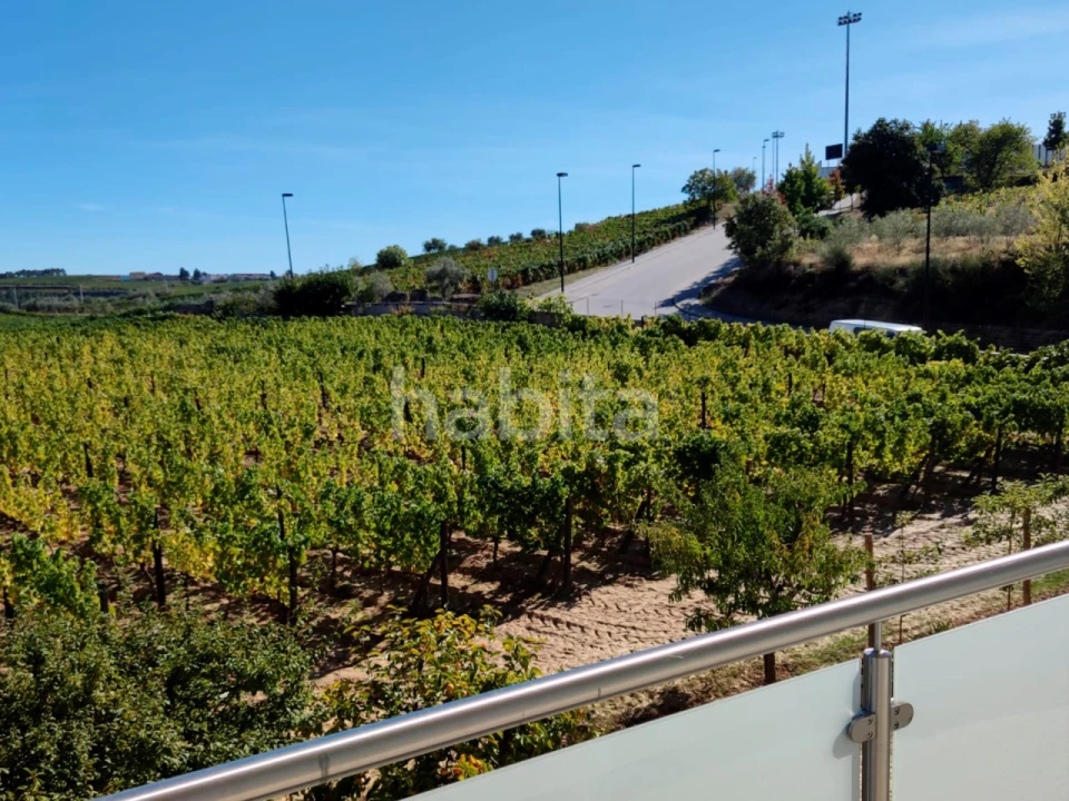 Quinta T10 para Venda em Alijo Foto 6