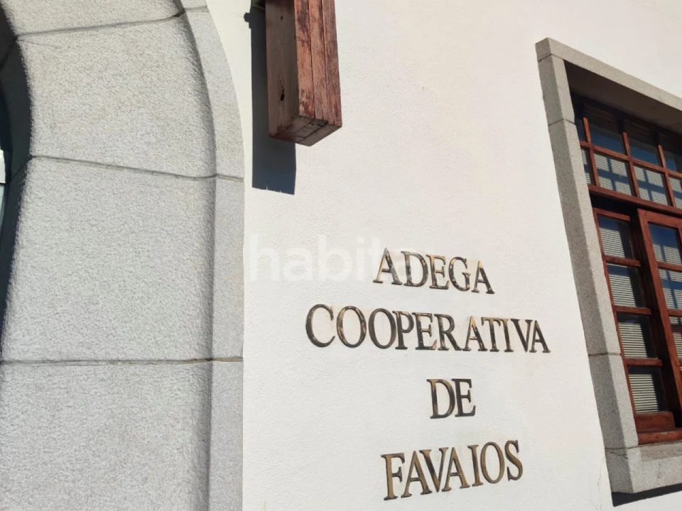 Quinta T10 para Venda em Alijo Foto 18