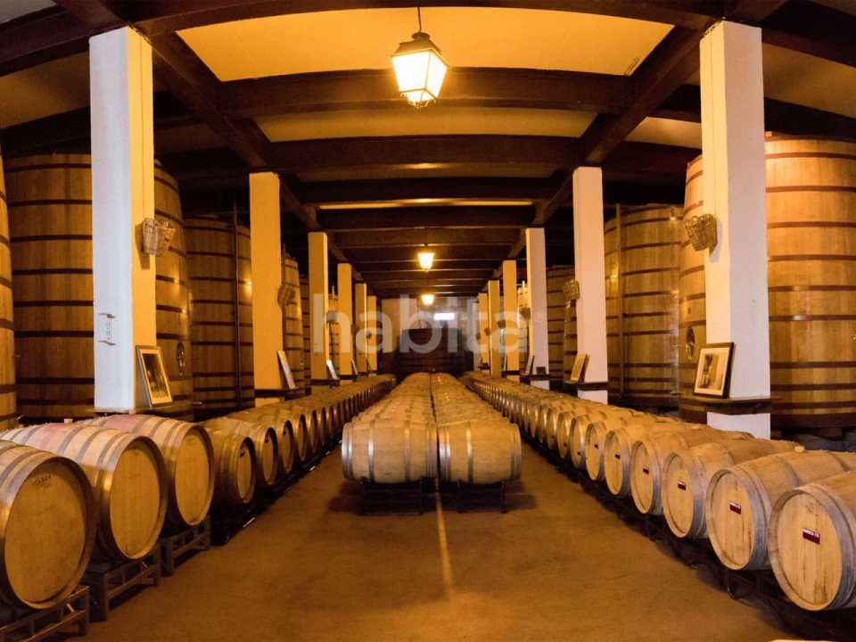 Quinta T10 para Venda em Alijo Foto 22