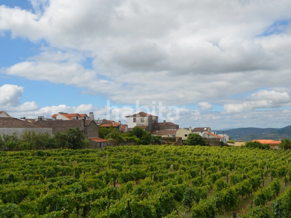 Quinta T10 para Venda em Alijo Foto 25