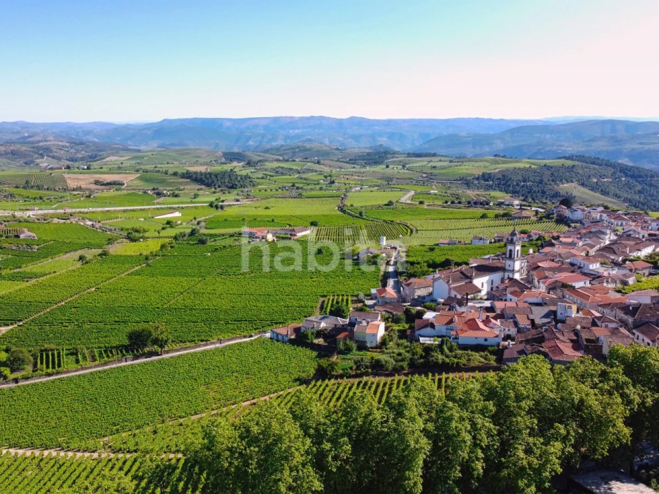 Quinta T10 para Venda em Alijo Foto 26