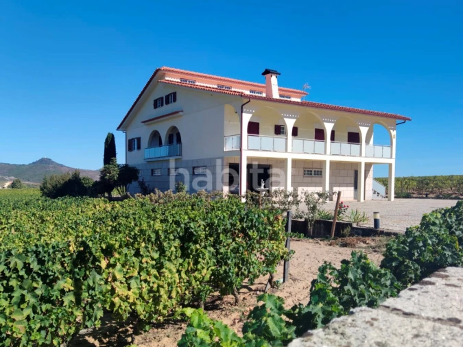 Quinta T10 para Venda em Alijo