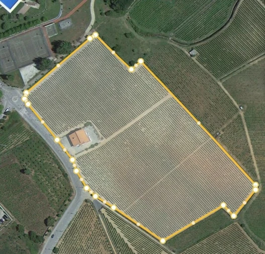 Quinta T10 para Venda em Alijo Planta 1