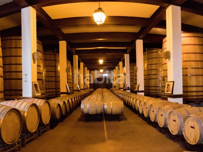 Quinta T10 para Venda em Alijo Foto 22