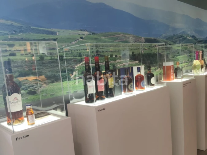 Quinta T10 para Venda em Alijo Foto 21