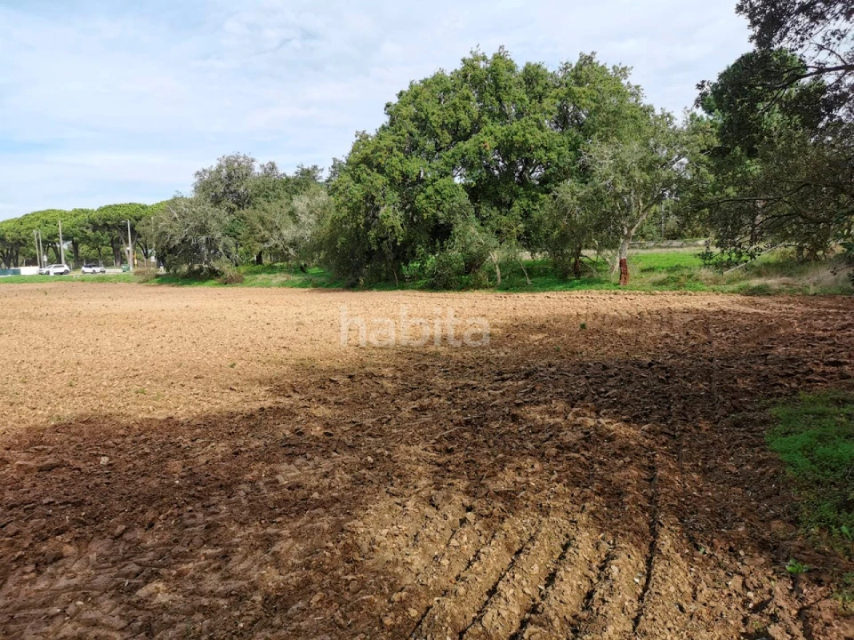 Terreno para Venda em Carvalhal Foto 5