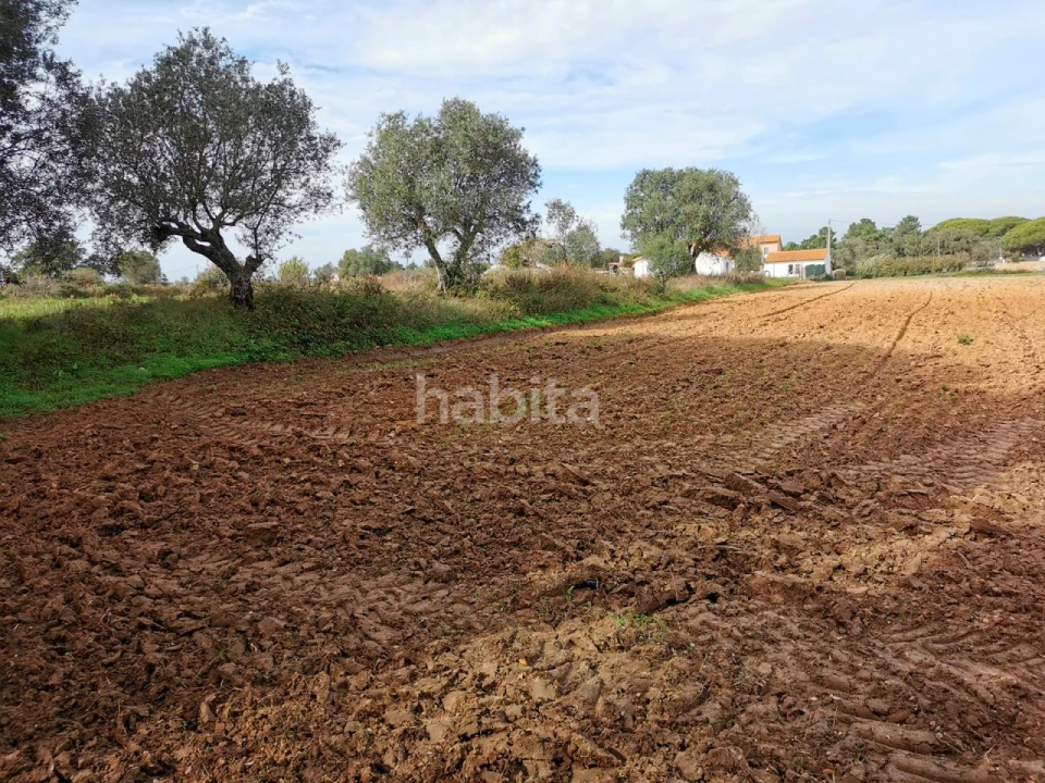 Terreno para Venda em Carvalhal Foto 6