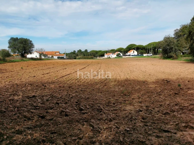 Terreno para Venda em Carvalhal Foto 7