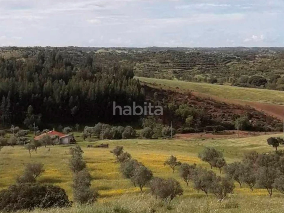 Quinta T2 para Venda em Ourique Foto 5