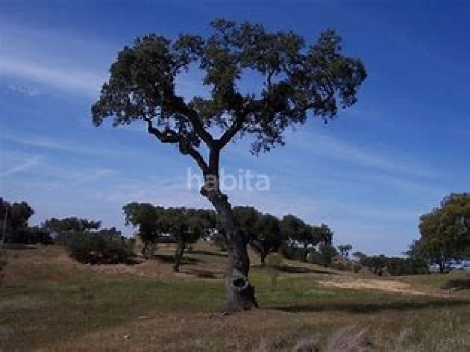 Quinta T2 para Venda em Ourique Foto 21