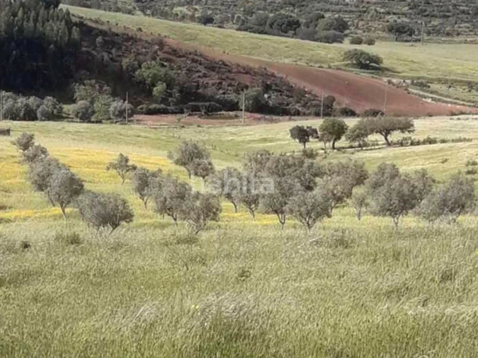 Quinta T2 para Venda em Ourique Foto 6