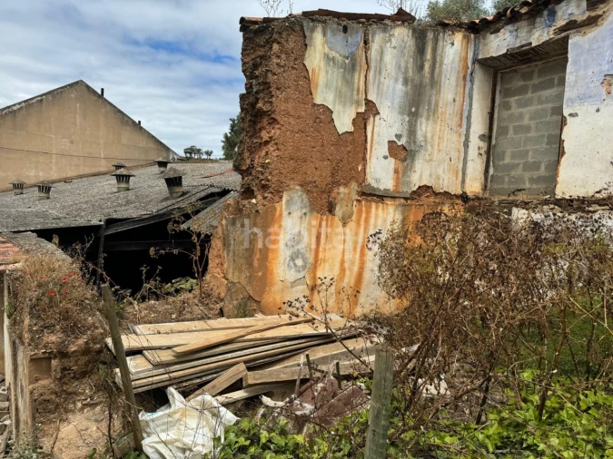 Terreno para Venda em São Salvador e Santa Maria Foto 5