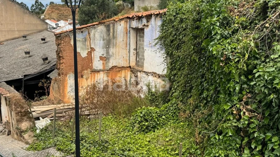 Terreno para Venda em São Salvador e Santa Maria