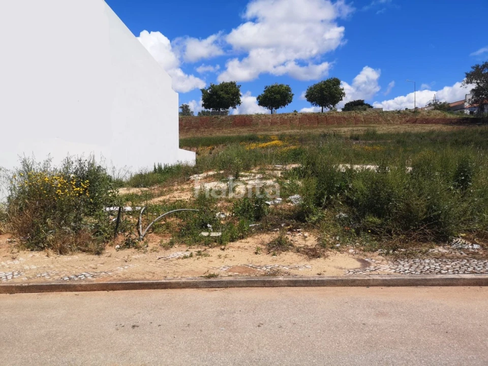 Terreno para Venda em Abela Foto 1