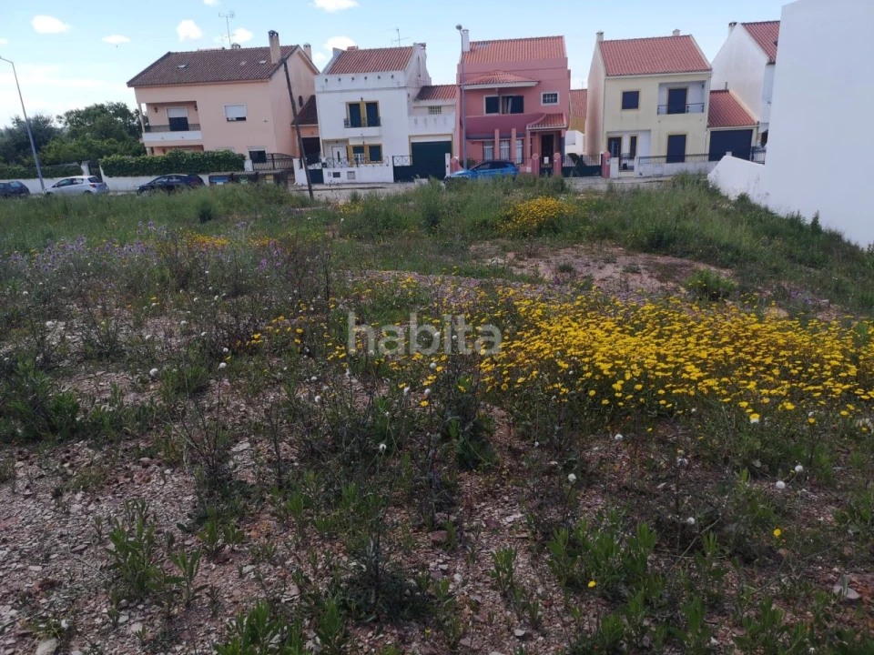 Terreno para Venda em Abela Foto 9