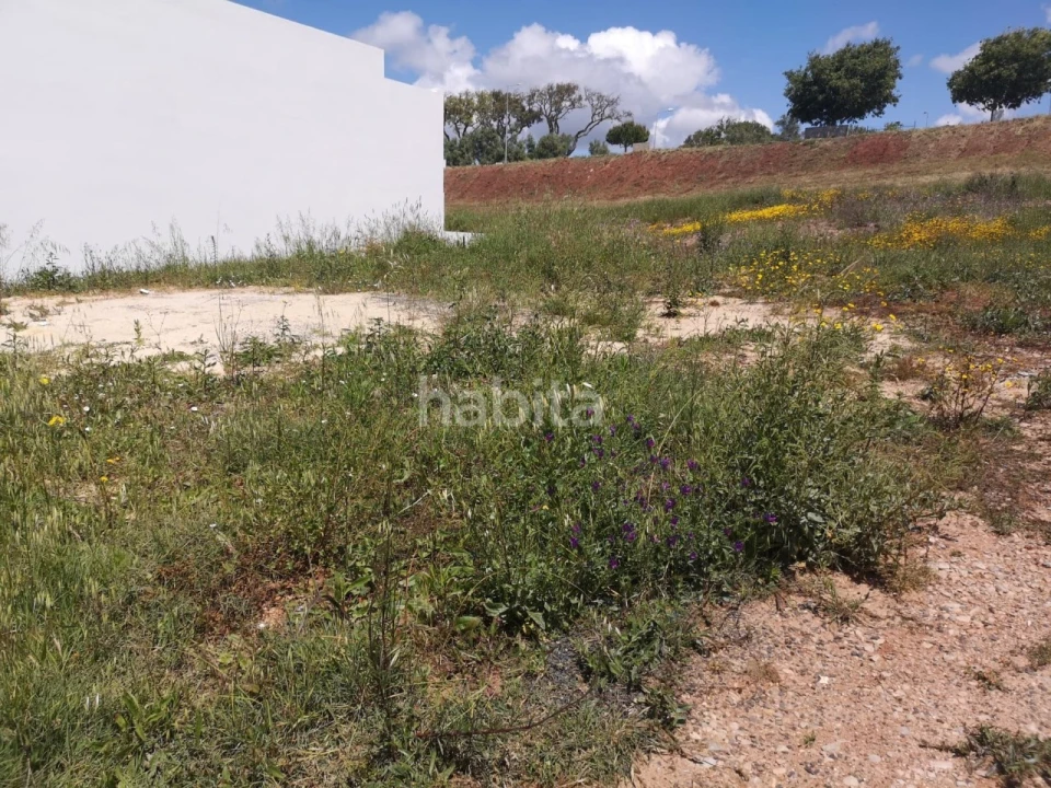 Terreno para Venda em Abela Foto 10