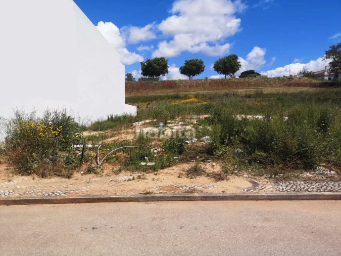 Terreno para Venda em Abela Foto 1