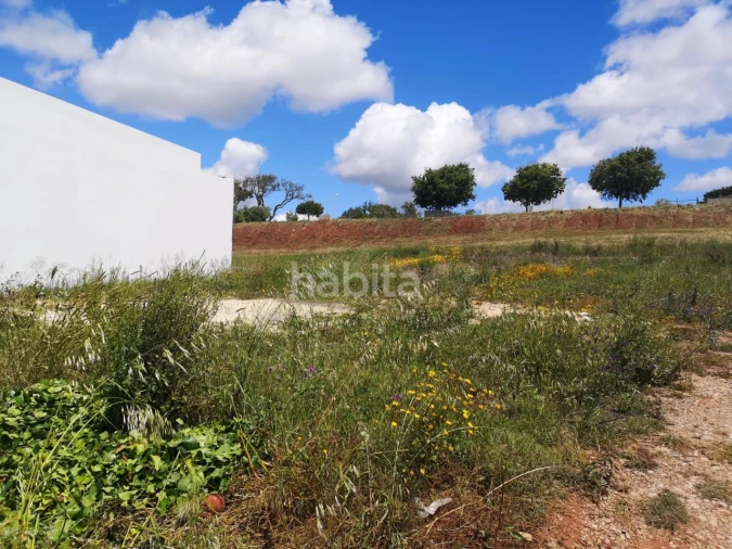Terreno para Venda em Abela Foto 2