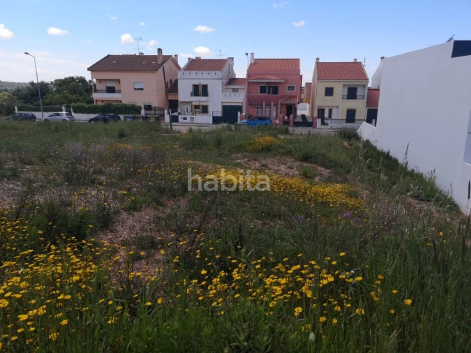 Terreno para Venda em Abela Foto 3