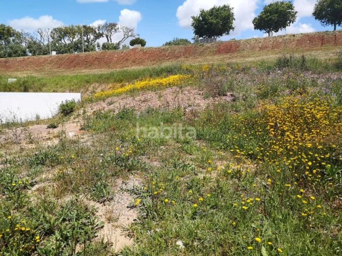 Terreno para Venda em Abela Foto 4