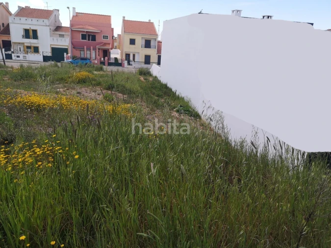 Terreno para Venda em Abela Foto 5