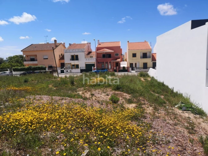 Terreno para Venda em Abela Foto 6