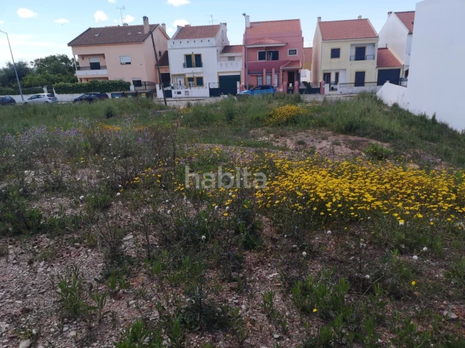 Terreno para Venda em Abela Foto 9