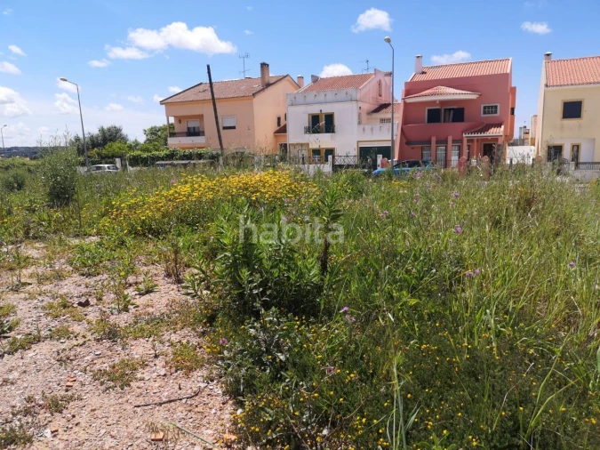 Terreno para Venda em Abela Foto 11