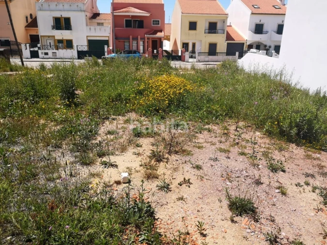 Terreno para Venda em Abela Foto 12