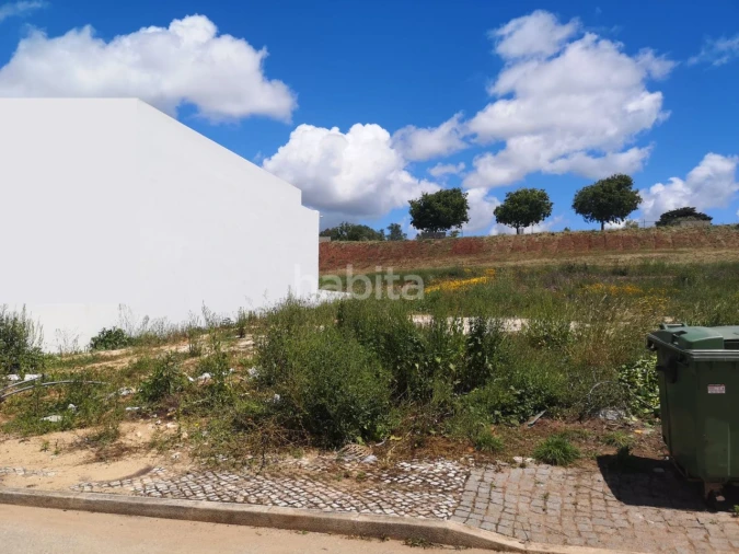 Terreno para Venda em Abela Foto 13