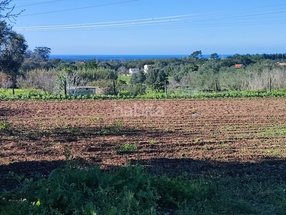 Quinta T1 para Venda em Santiago do Cacém, Santa Cruz e São Bartolomeu da Serra Foto 12