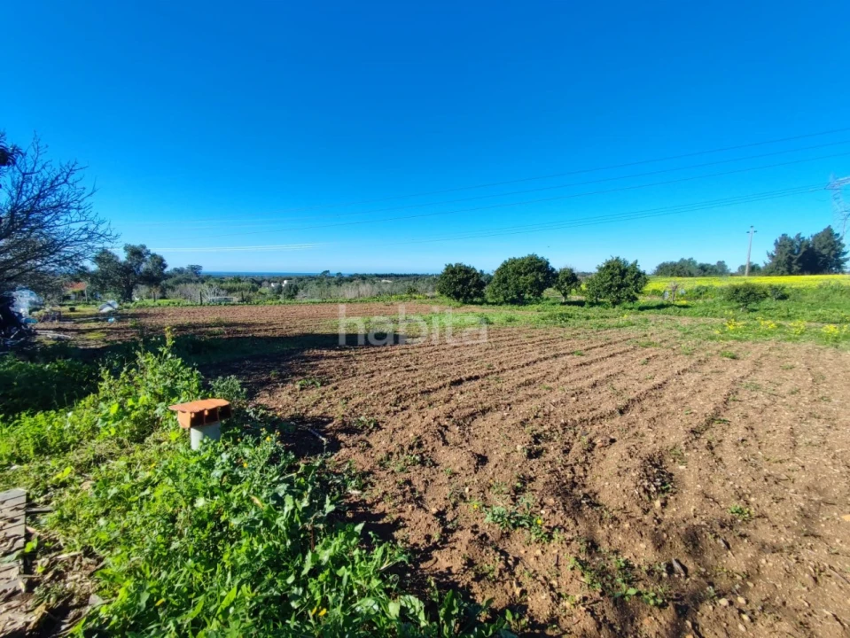Quinta T1 para Venda em Santiago do Cacém, Santa Cruz e São Bartolomeu da Serra Foto 13