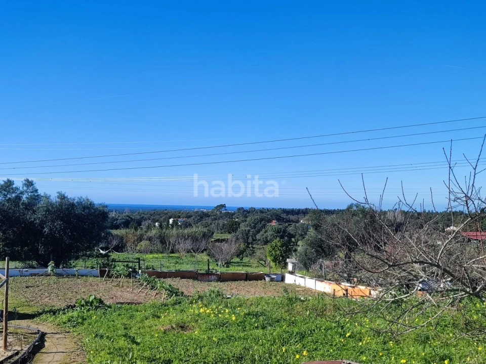 Quinta T1 para Venda em Santiago do Cacém, Santa Cruz e São Bartolomeu da Serra Foto 15