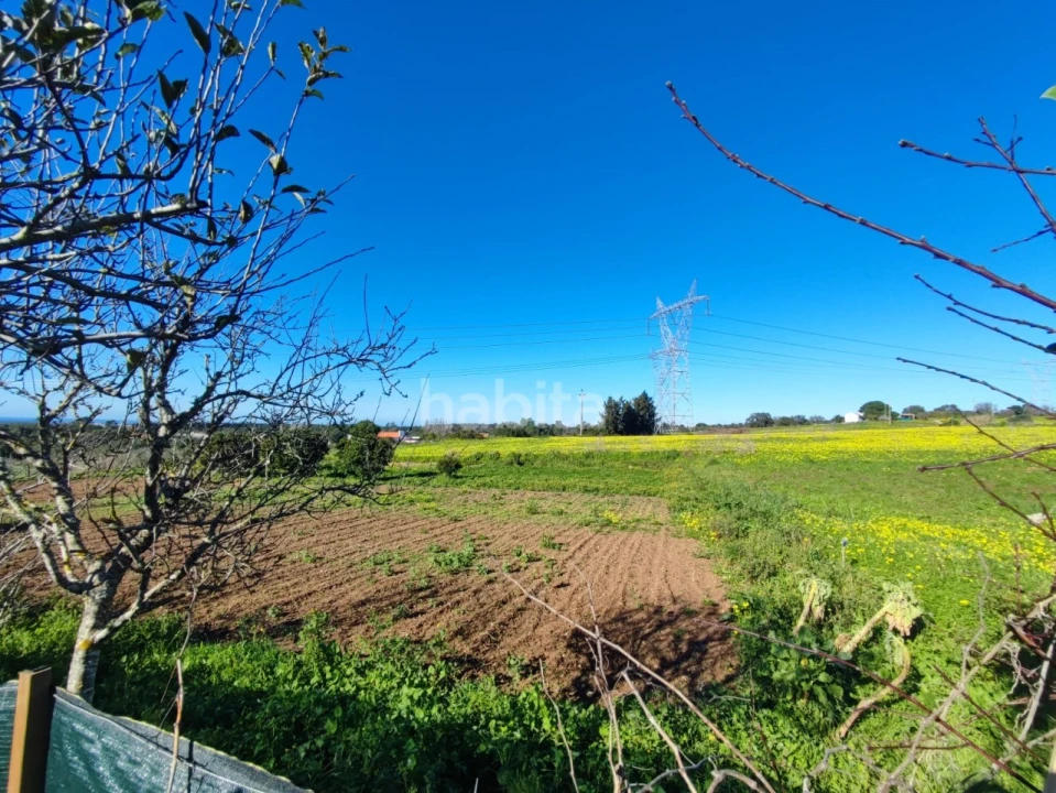 Quinta T1 para Venda em Santiago do Cacém, Santa Cruz e São Bartolomeu da Serra Foto 19