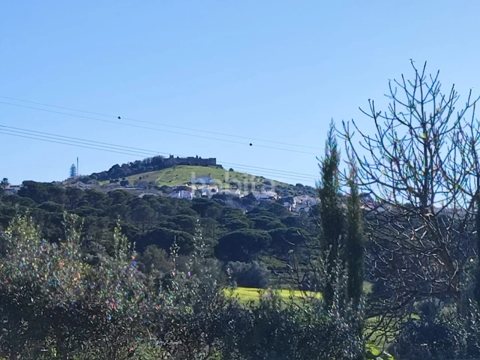 Quinta T1 para Venda em Santiago do Cacém, Santa Cruz e São Bartolomeu da Serra Foto 20