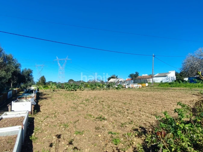 Quinta T1 para Venda em Santiago do Cacém, Santa Cruz e São Bartolomeu da Serra Foto 9