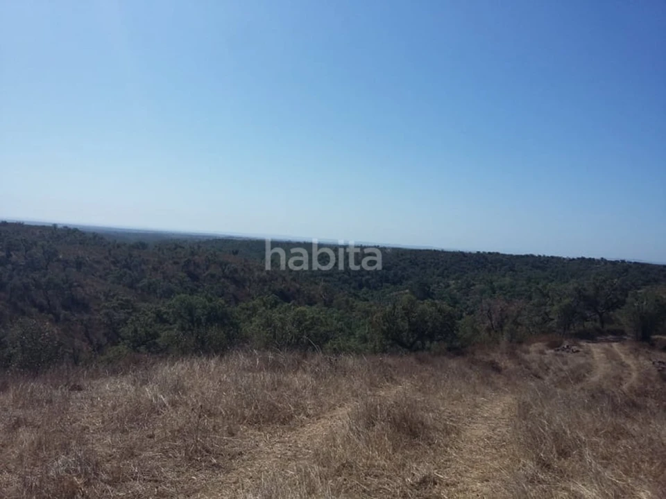 Quinta T2 para Venda em São Francisco da Serra Foto 14