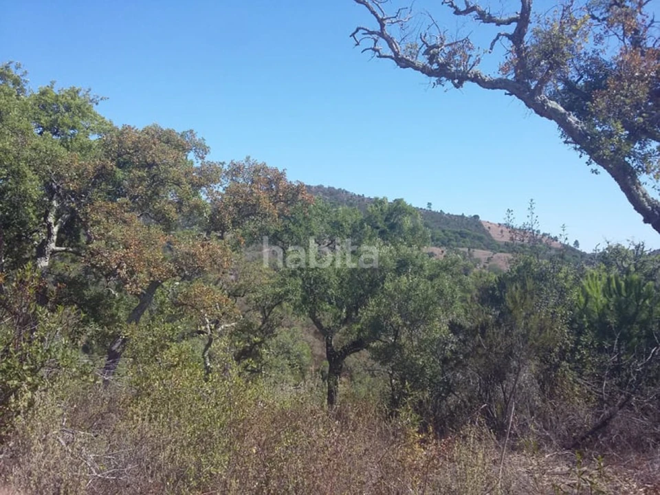 Quinta T2 para Venda em São Francisco da Serra Foto 20